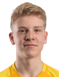 Raimond Tiidermann headshot