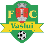 Vaslui Logo