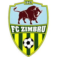 Zimbru W Team Logo
