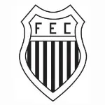 Figueirense MG U20 logo de equipe