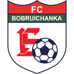 Bobruichanka W Logotipo del equipo