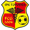 Gorodeya Team Logo