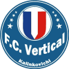 Vertykal logo