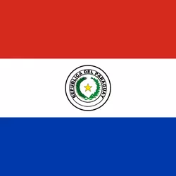 Paraguay country flag