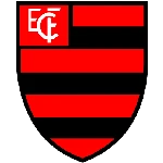 Flamengo-PI Team Logo