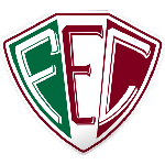 Fluminense-PI logo de equipe