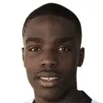 Niels Nkounkou headshot