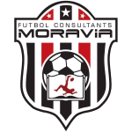 Consultants Moravia Team Logo