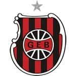 Brasil de Pelotas U20 logo