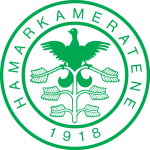 HamKam Team Logo