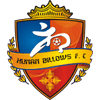 Hunan Xiangtao Team Logo