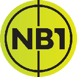 Hungary country flag