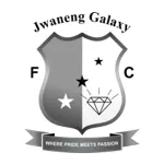 Galaxy Team Logo