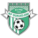 Dukagjini Logo