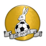 March Town United logo de equipe