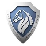 Merani Tbilisi logo de equipe