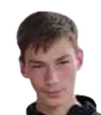 Vicu Bulmaga foto de rosto