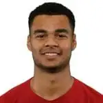 Cody Gakpo foto de rosto