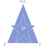 New Star Logotipo del equipo