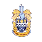 Newbury FC Team Logo