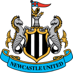 Newcastle logo de equipe