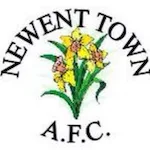 Newent Town Logotipo del equipo