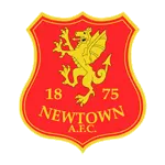 Newtown Team Logo