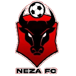 Toros Neza logo