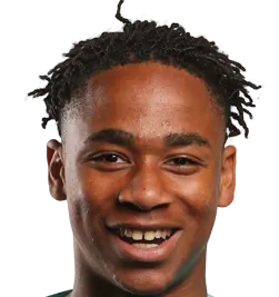 Josh Oluwayemi headshot