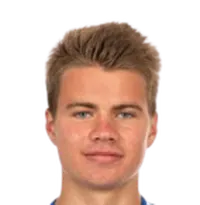 Vetle Walle Egelidisparo a la cabeza