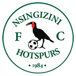 Nsingizini Hotspurs Team Logo