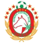 Olympic FC de Niamey Team Logo