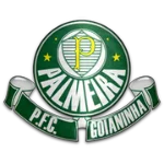 Palmeira logo de equipe