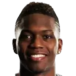 Pumadisparo a la cabeza