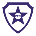 Pinheirense W logo de equipe