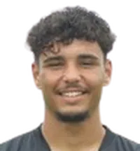 Diogo Araújo Brito headshot