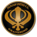 Punjab United logo de equipe