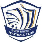 Shijiazhuang Ever Bright Team Logo