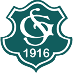 Skjern Team Logo