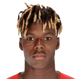 Nico Williams foto de rosto