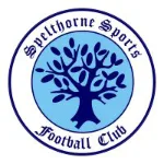 Spelthorne Sports Team Logo