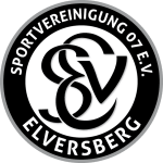  Elversberg logo de equipe 
