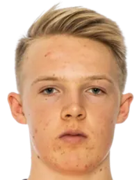 Karl Lukas Lehtodisparo a la cabeza