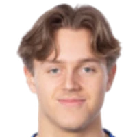 Ludvig Nåvikdisparo a la cabeza