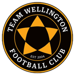 Team Wellington Team Logo