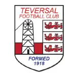 Teversal Team Logo