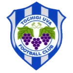 Tochigi City Logo