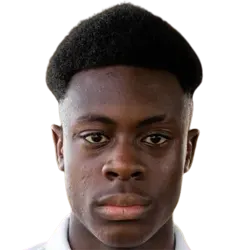 Dikeni-Rafid Salifou headshot