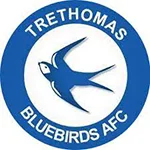 Trethomas Bluebirds logo