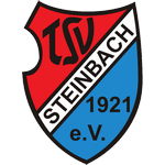 TSV Steinbach logo